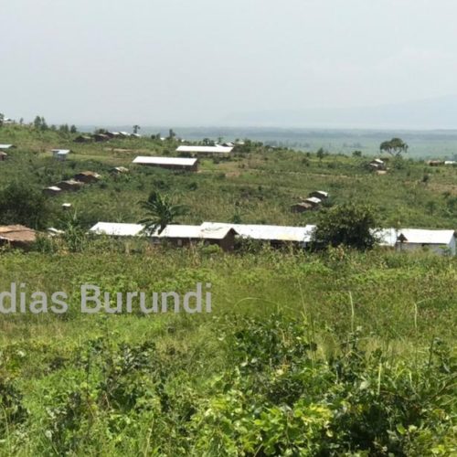 Mulongwe (RDC) : une maladie des yeux menace les réfugiés
