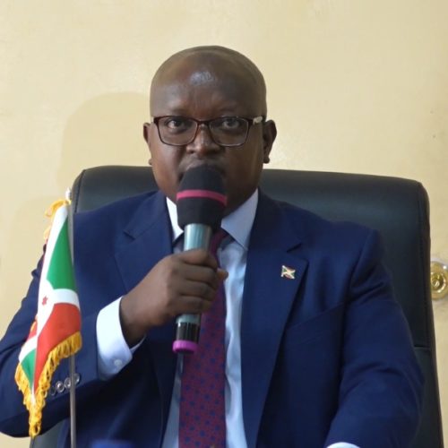 Burundi : la FDNB s&rsquo;exprime pour la première fois sur sa présence en RDC et nie