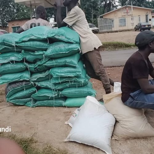 Burundi : l&rsquo;entreprise FOMI confronté au manque criant de devises pour importer de la matière première