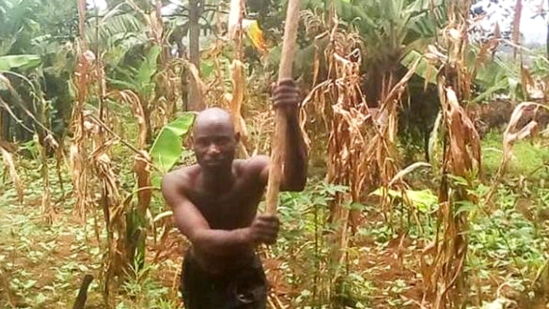 Butaganzwa: mwanamke aliuawa, mumewe alijeruhiwa kwa panga