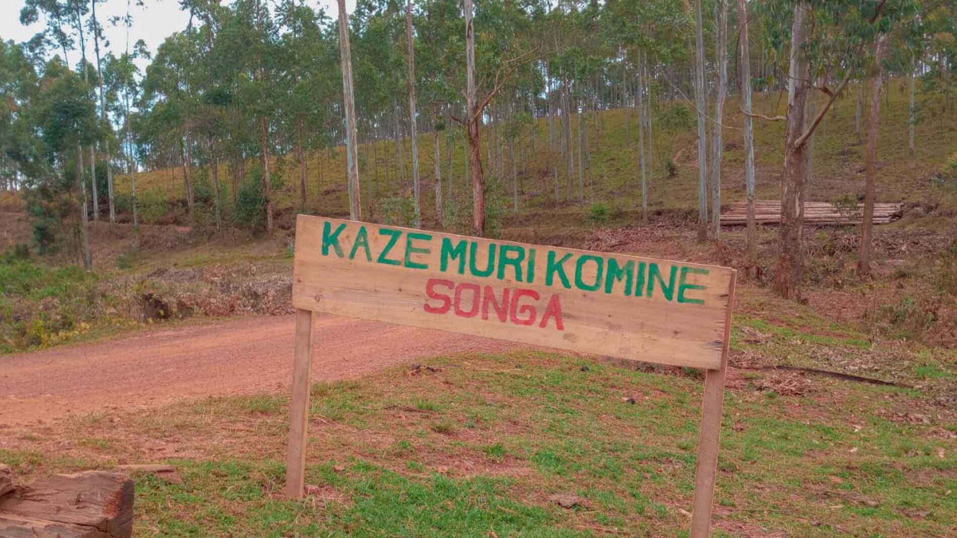Songa : un éducateur en détention depuis ce jeudi