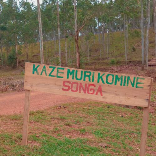 Bururi : un jeune homme arrêté après avoir volé deux millions de francs