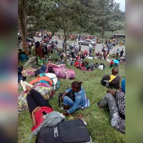 Nord-Kivu (RDC) : accrochages simultané entre les FARDC et les rebelles du M23 à Rutshuru et Nyiragongo