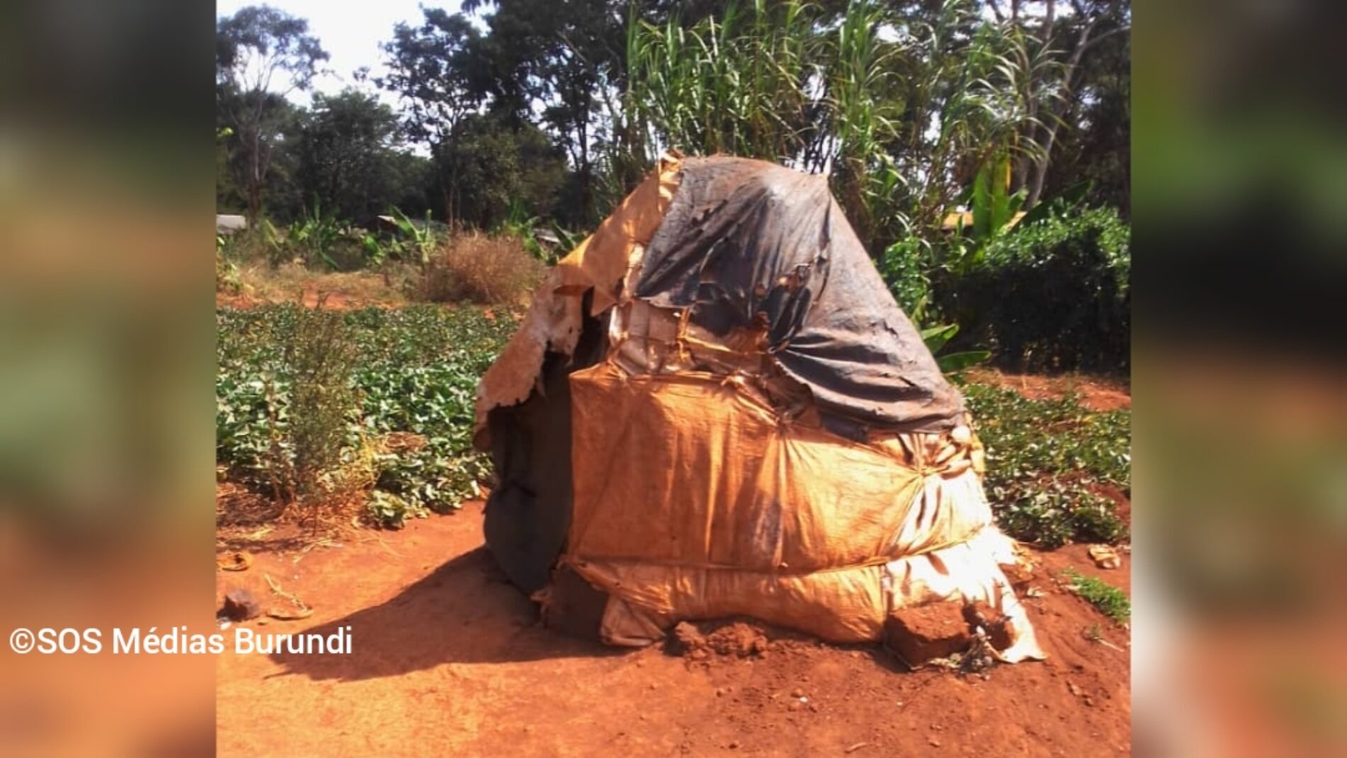 Tanzanie : des décisions qui compliquent la vie des réfugiés