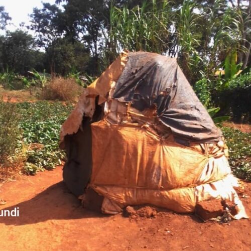 Tanzanie : des décisions qui compliquent la vie des réfugiés