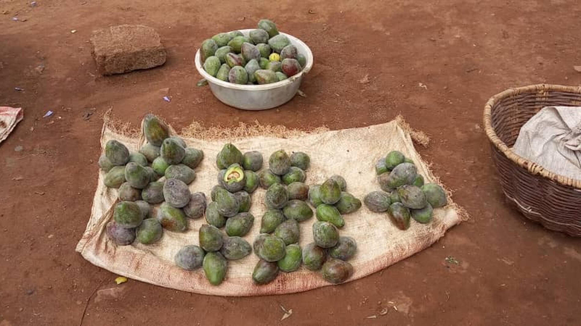 Gitega : l&rsquo;insuffisance d&rsquo;avocats entraîne la hause des prix sur le marché