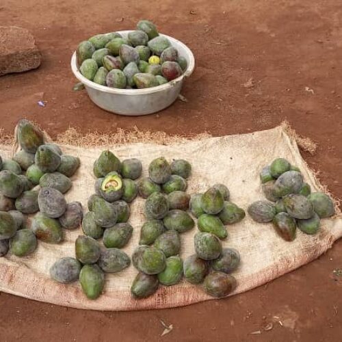 Gitega: the lack of avocados leads to higher prices on the market