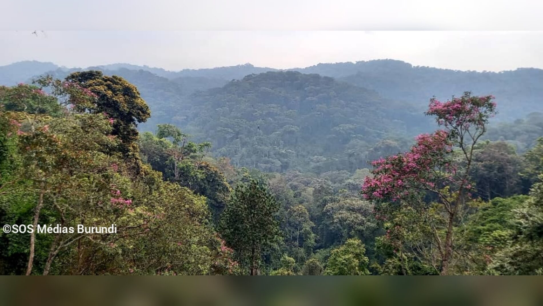 Cibitoke : plus de 40 rebelles rwandais tués par l&rsquo;armée burundaise