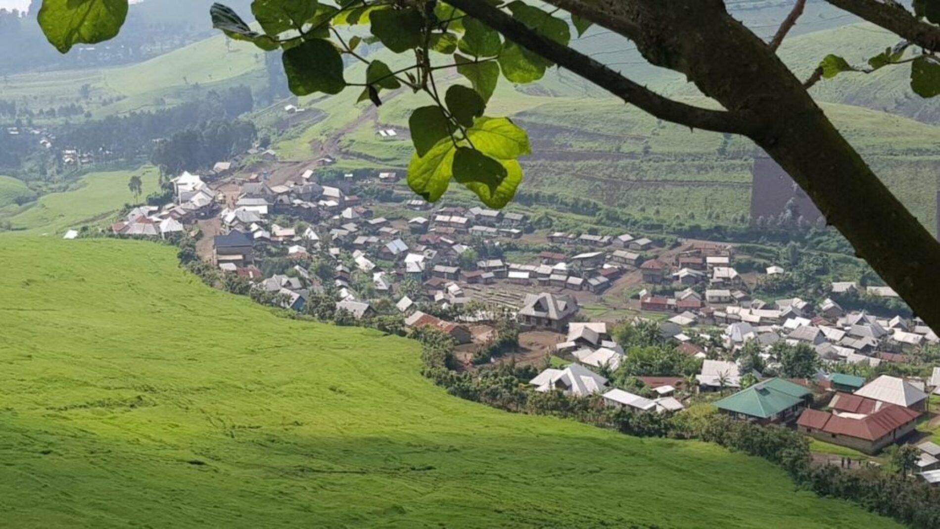 Masisi : une fusillade dans le territoire de Masisi fait six morts et cinq blessés