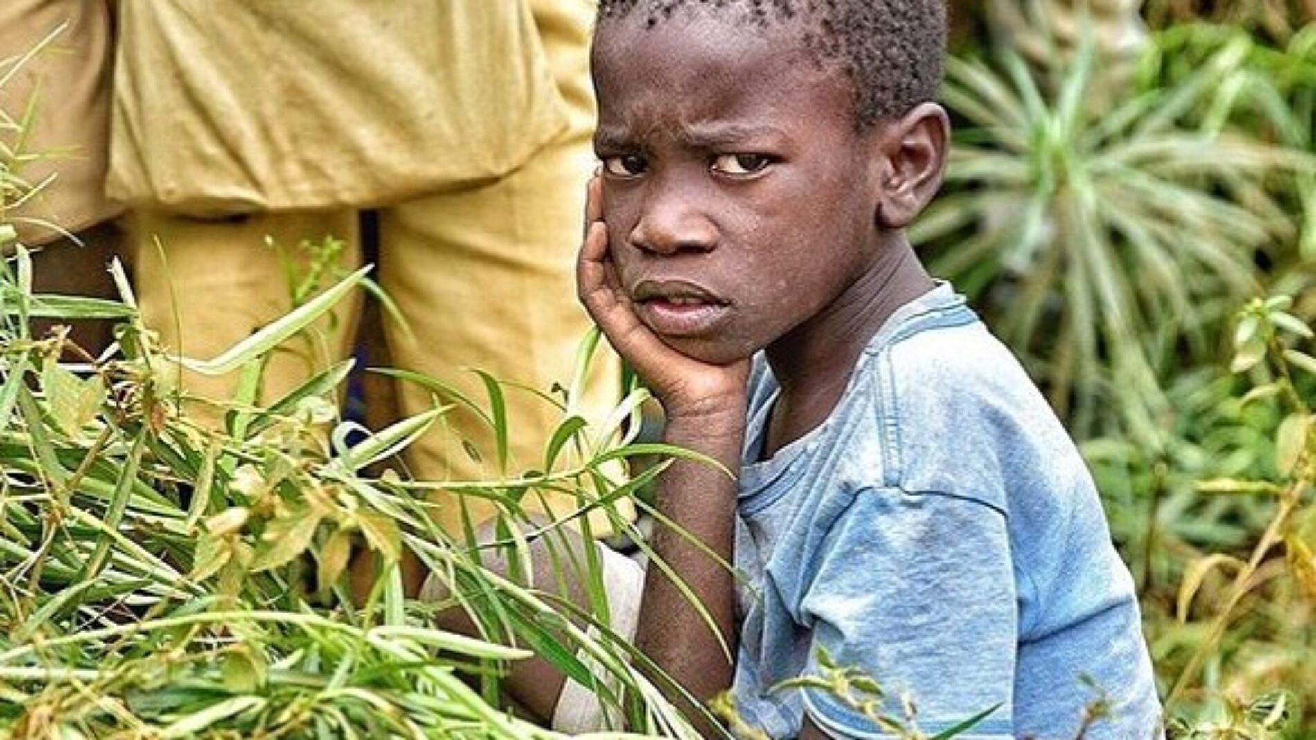 Nduta (Tanzanie) : plusieurs ONGs humanitaires vont suspendre leur activité