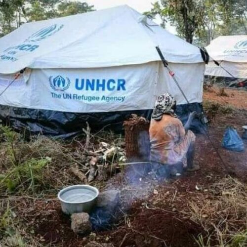 Nyarugusu (Tanzanie) : les haricots de mauvaise qualité remplacés