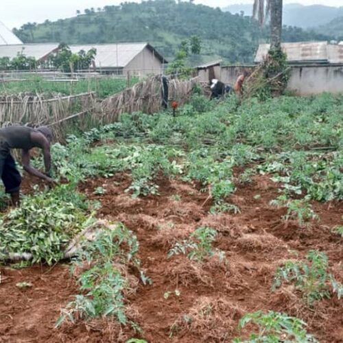 Musigati: residents fear famine