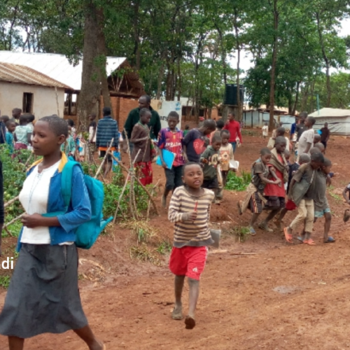 Nyarugusu (Tanzania): a concerning showdown between two humanitarian organizations