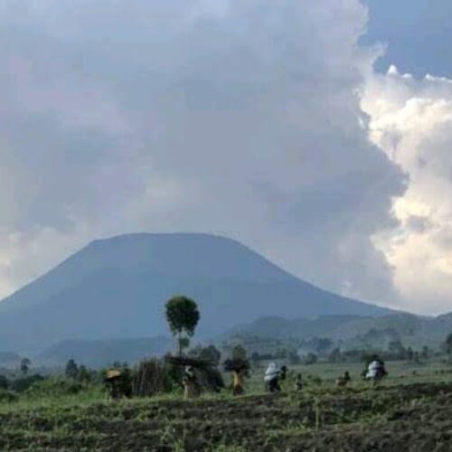 Nyiragongo: five people killed by MONUSCO blue helmets (local sources)