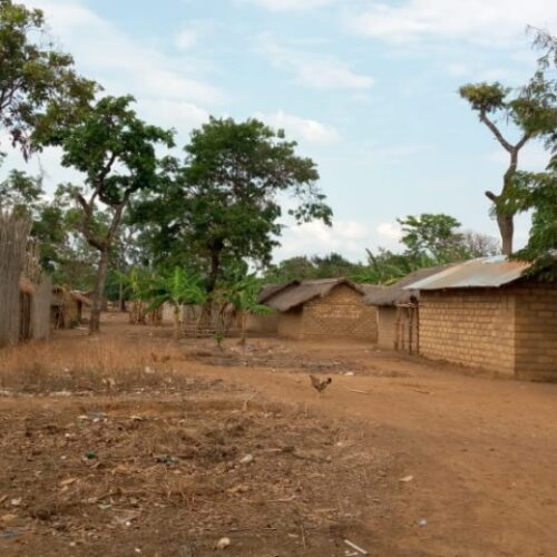 Nyarugusu (Tanzania): several maize fields destroyed by the camp administration