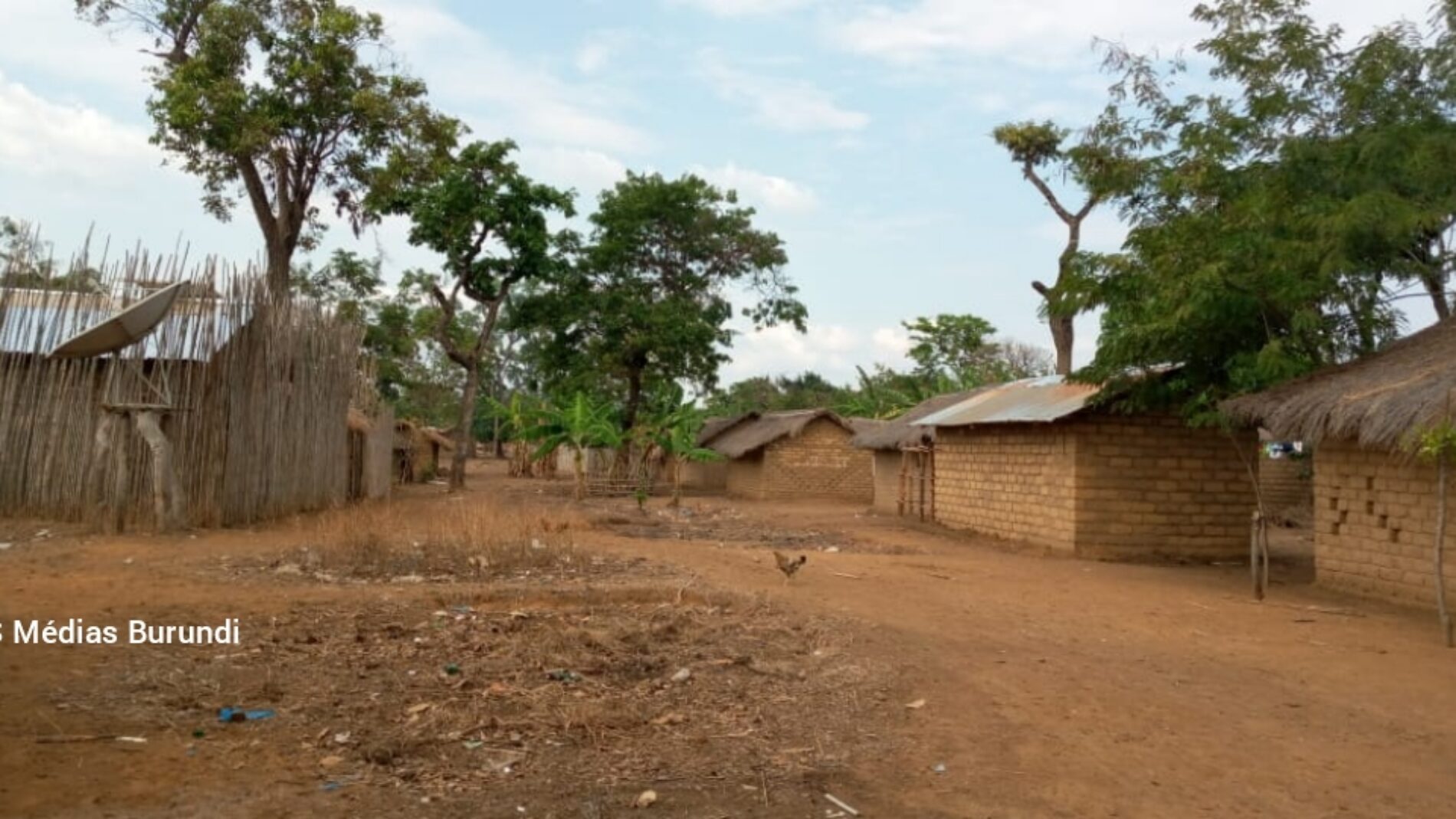 Nyarugusu (Tanzanie) : plusieurs champs de maïs détruits par l&rsquo;administration du camp