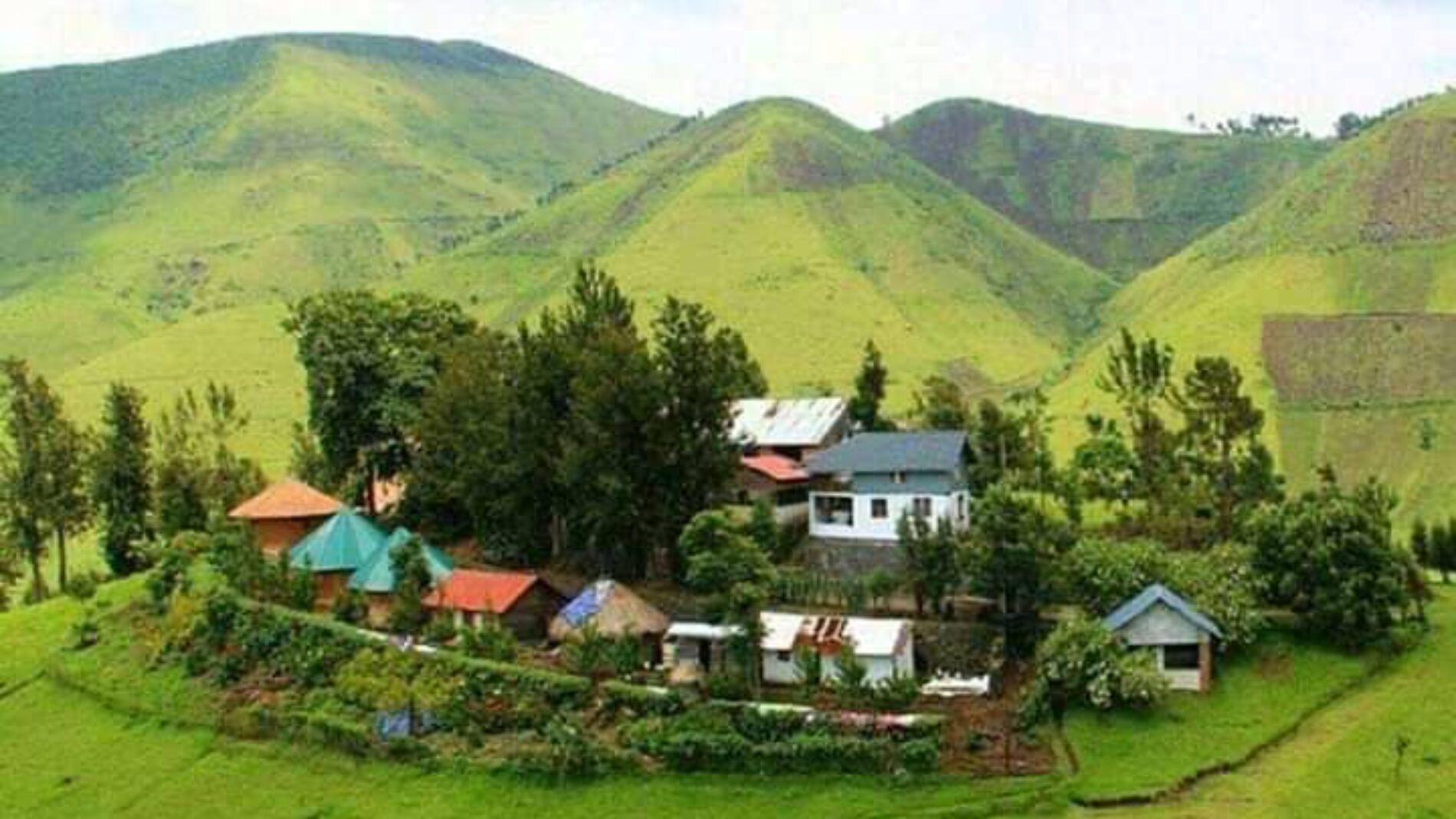 Masisi : nouveaux affrontements entre les FARDC et le M23
