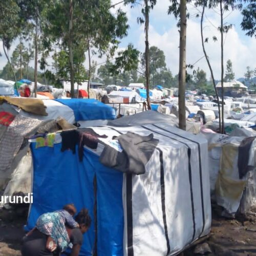 Rutshuru : une attaque armée fait 19 morts et décime 300 vaches