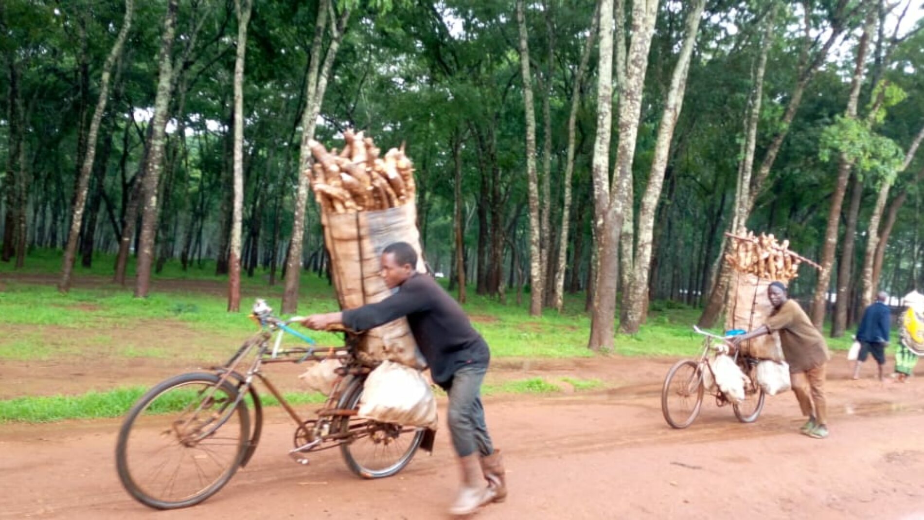 Tanzanie : la ration des réfugiés réduite de 15%