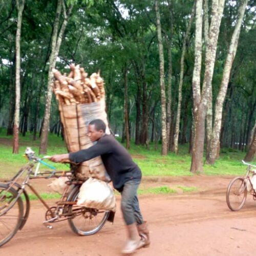 Tanzanie : la ration des réfugiés réduite de 15%