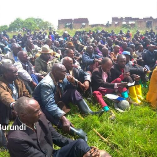 Bijombo (RDC) : les Banyamulenge et les Bafulero ont fréquenté un marché commun après cinq ans
