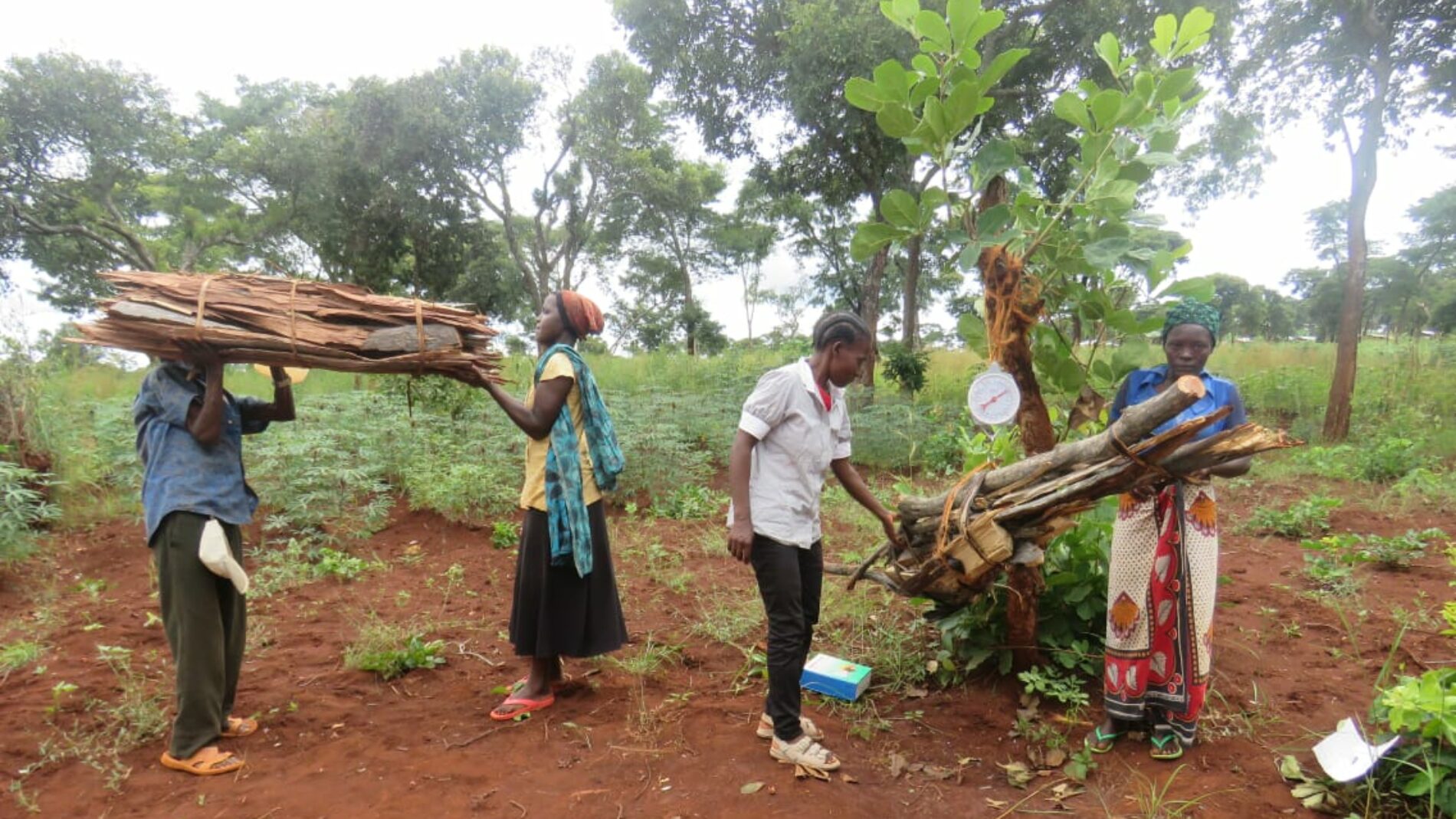 Nduta (Tanzanie) : les élections de nouveaux représentants de réfugiés décriées