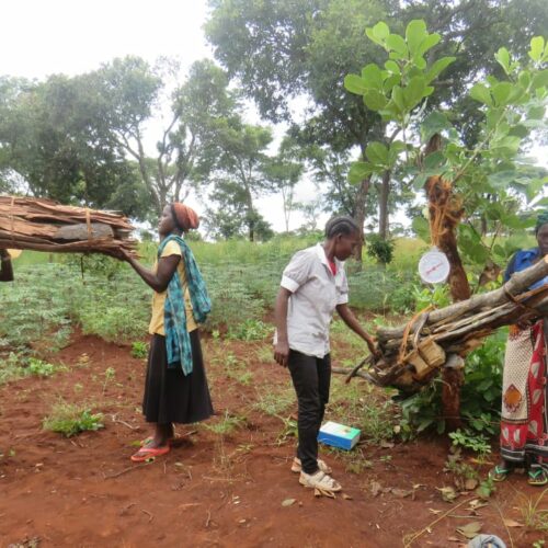 Nduta (Tanzanie) : les élections de nouveaux représentants de réfugiés décriées