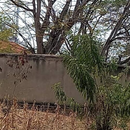 Cibitoke : une personne trouve la mort dans le cachot du Service de renseignements