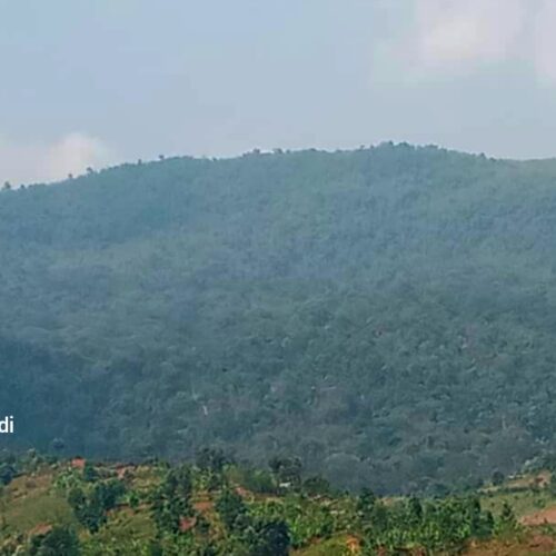 Bubanza-Cibitoke : psychose après une incursion d&rsquo;hommes armés dans la Kibira