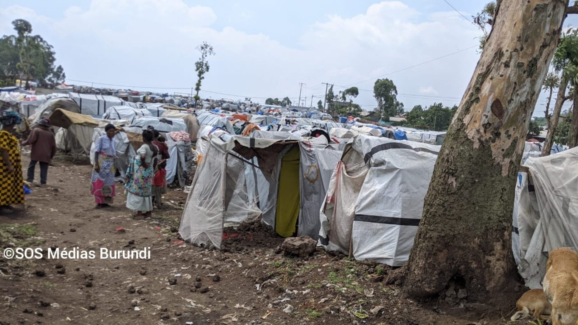 Nyiragongo: alarming humanitarian situation of displaced people from the Kasenyi Adventist site