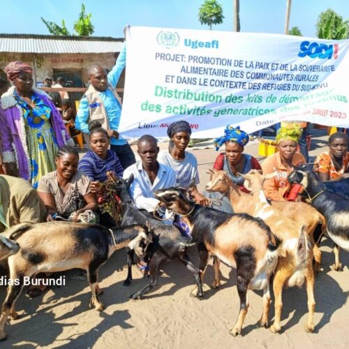 Sud-Kivu : au moins 500 réfugiés burundais bénéficiaires d&rsquo;une aide pour démarrer une activité agro-pastorale