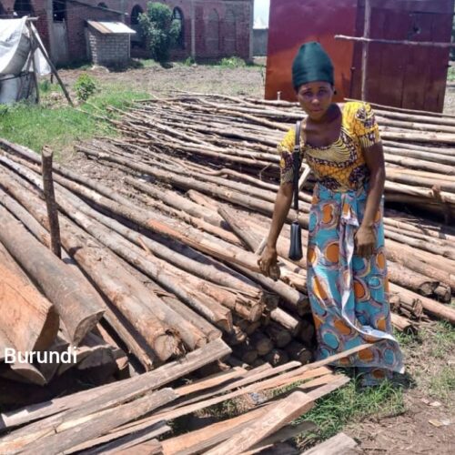 Bubanza : record de prix des matériaux de construction
