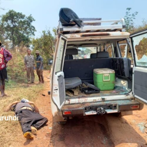 Fizi (DRC) : four people including 2 Chinese were killed by armed men