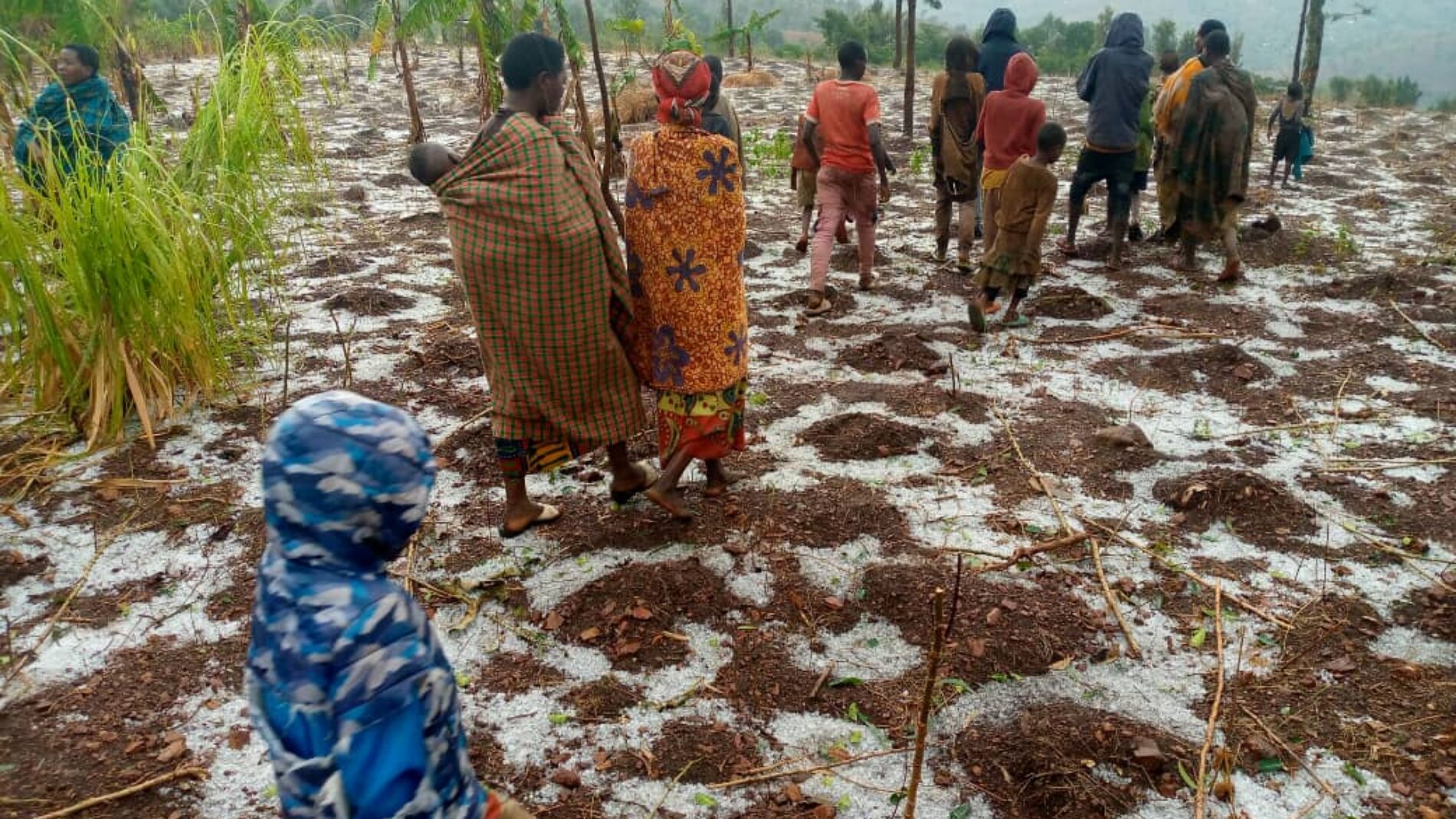 Muyinga : importants dégâts matériels suite à des pluies torrentielles