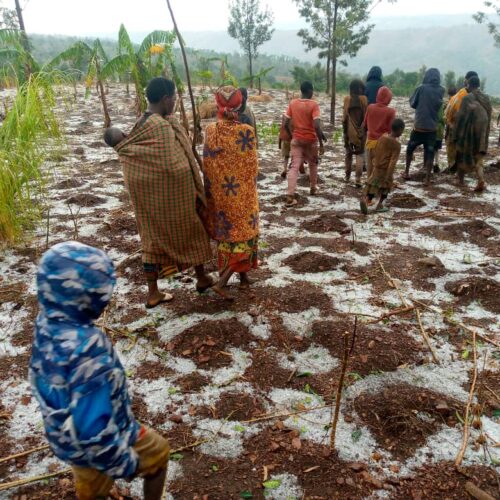 Muyinga : importants dégâts matériels suite à des pluies torrentielles