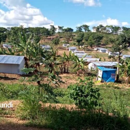 Nduta (Tanzanie) : rafle de plus de cent réfugiés burundais