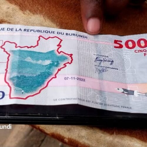 Burundi : the IMF concludes that there is a generalized economic crisis