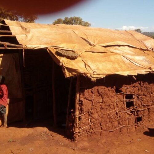 Nduta (Tanzanie) : plus de 22 000 réfugiés atteints du paludisme en moins de trois mois
