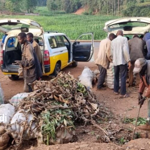 Gitega : deux morts à Mahonda et Kagoma sur fond de soupçons et d’infanticide