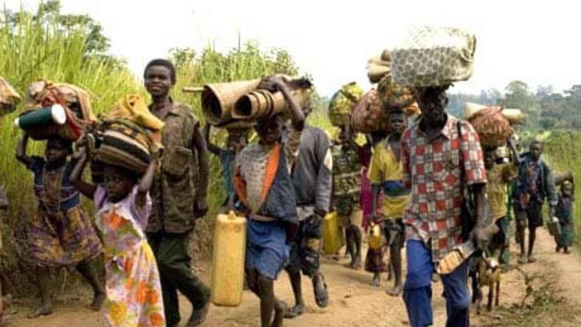 DRC-Masisi : new violent fighting between the M23 and local armed groups in the Bashali chiefdom