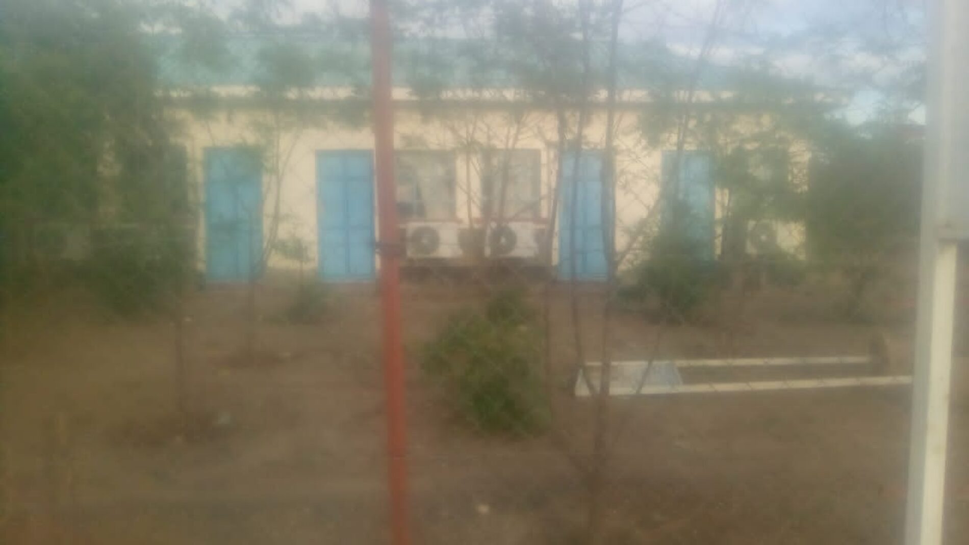 Kakuma (Kenya) : plusieurs serpents assiègent le bloc administratif du camp