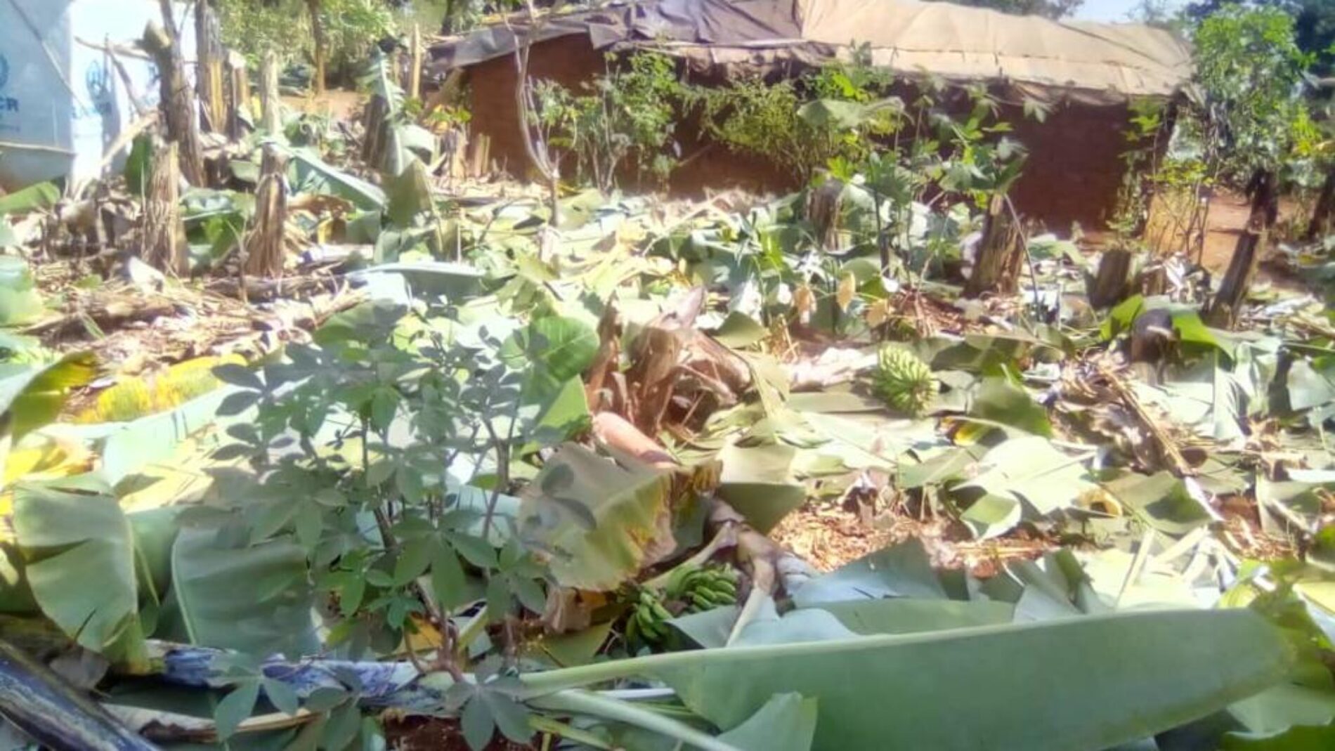 Tanzanie : l’apocalypse pour les réfugiés burundais s’annonce