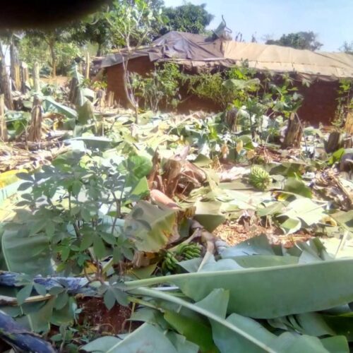 Tanzanie : l’apocalypse pour les réfugiés burundais s’annonce