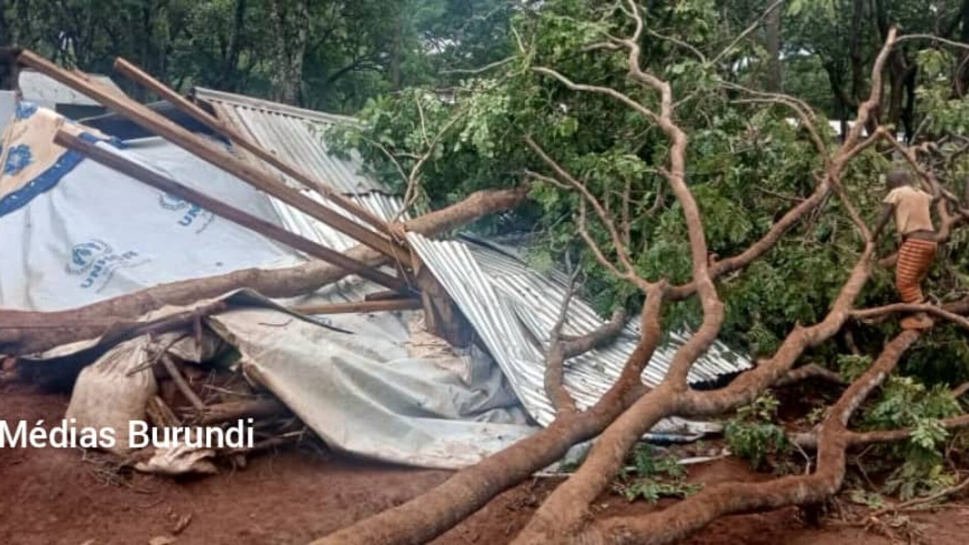 Nduta (Tanzanie) : trois nouveaux réfugié morts suite aux intempéries