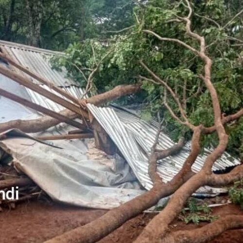 Nduta (Tanzanie) : trois nouveaux réfugié morts suite aux intempéries