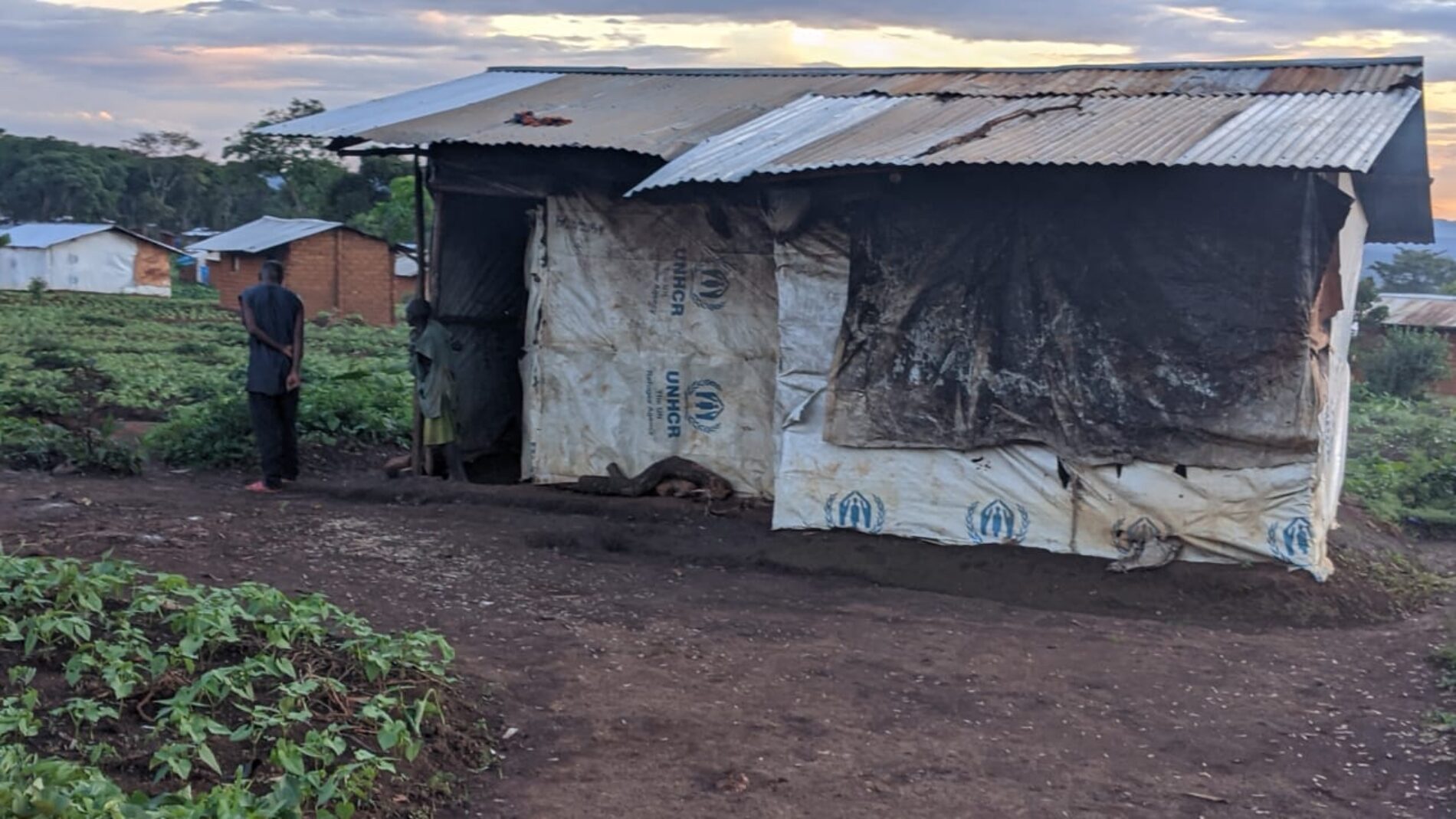 Nduta (Tanzanie) : plus de 3600 sans papiers en danger