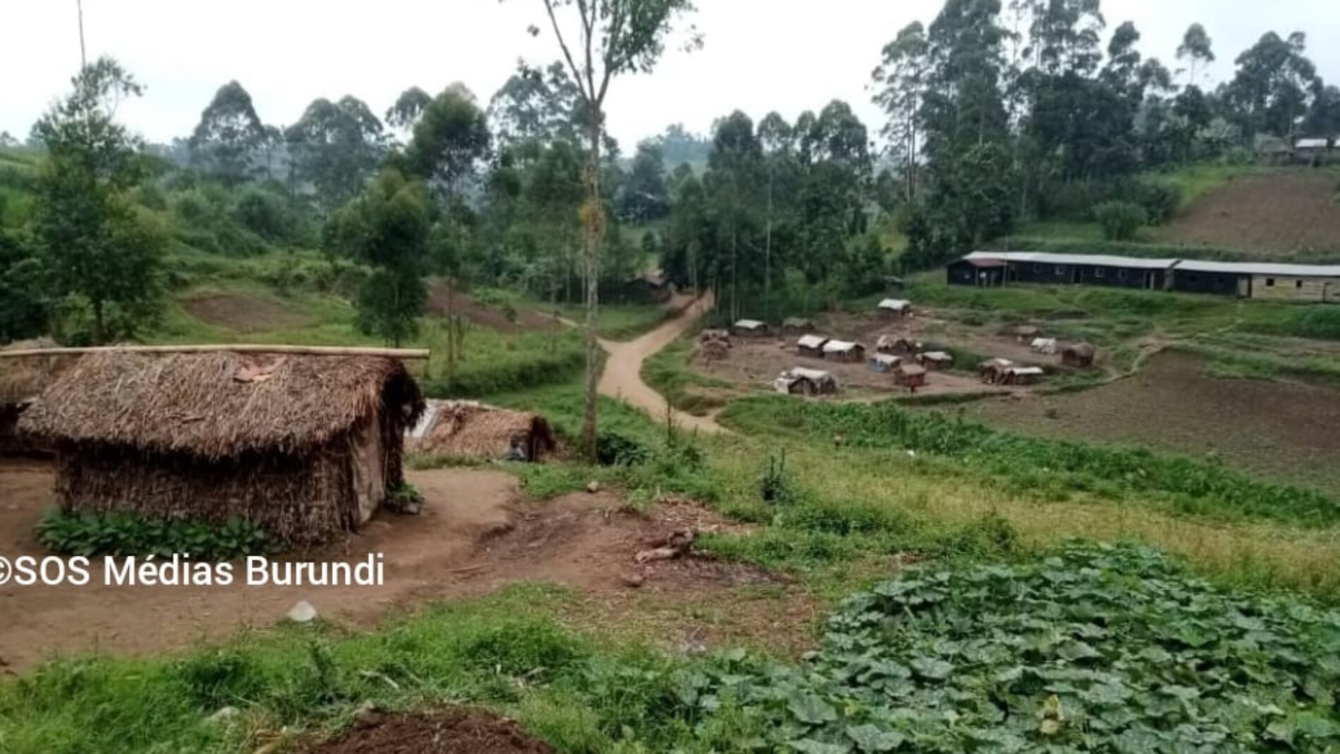 Nord-Kivu : reprise de Masisi et Nyiragongo par les FARDC des mains du M23