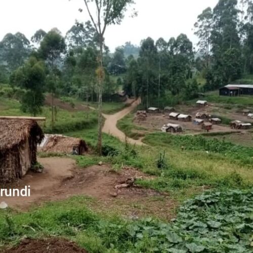 Nord-Kivu : reprise de Masisi et Nyiragongo par les FARDC des mains du M23