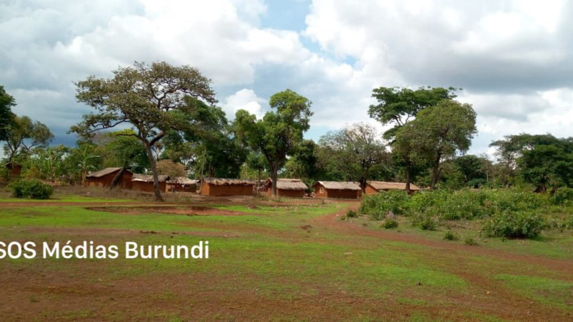 Nyarugusu (Tanzanie) : interdiction de couper les arbres
