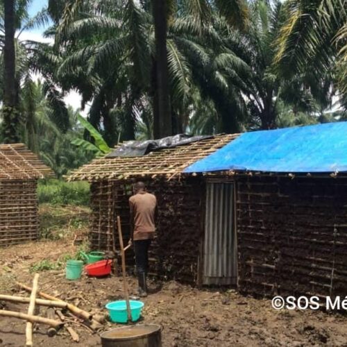 Fizi : houses of Burundian refugees from 1972 threatened by the waters of Lake Tanganyika
